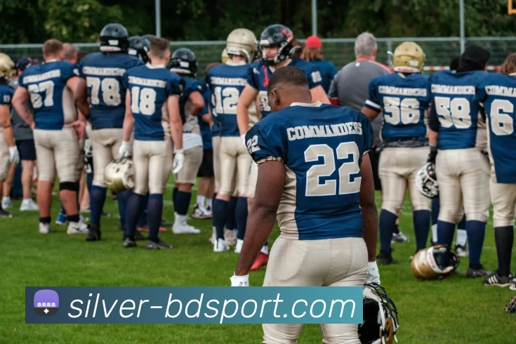 半岛体育平台生态图