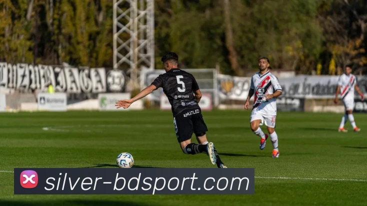 半岛体育APP 封面图